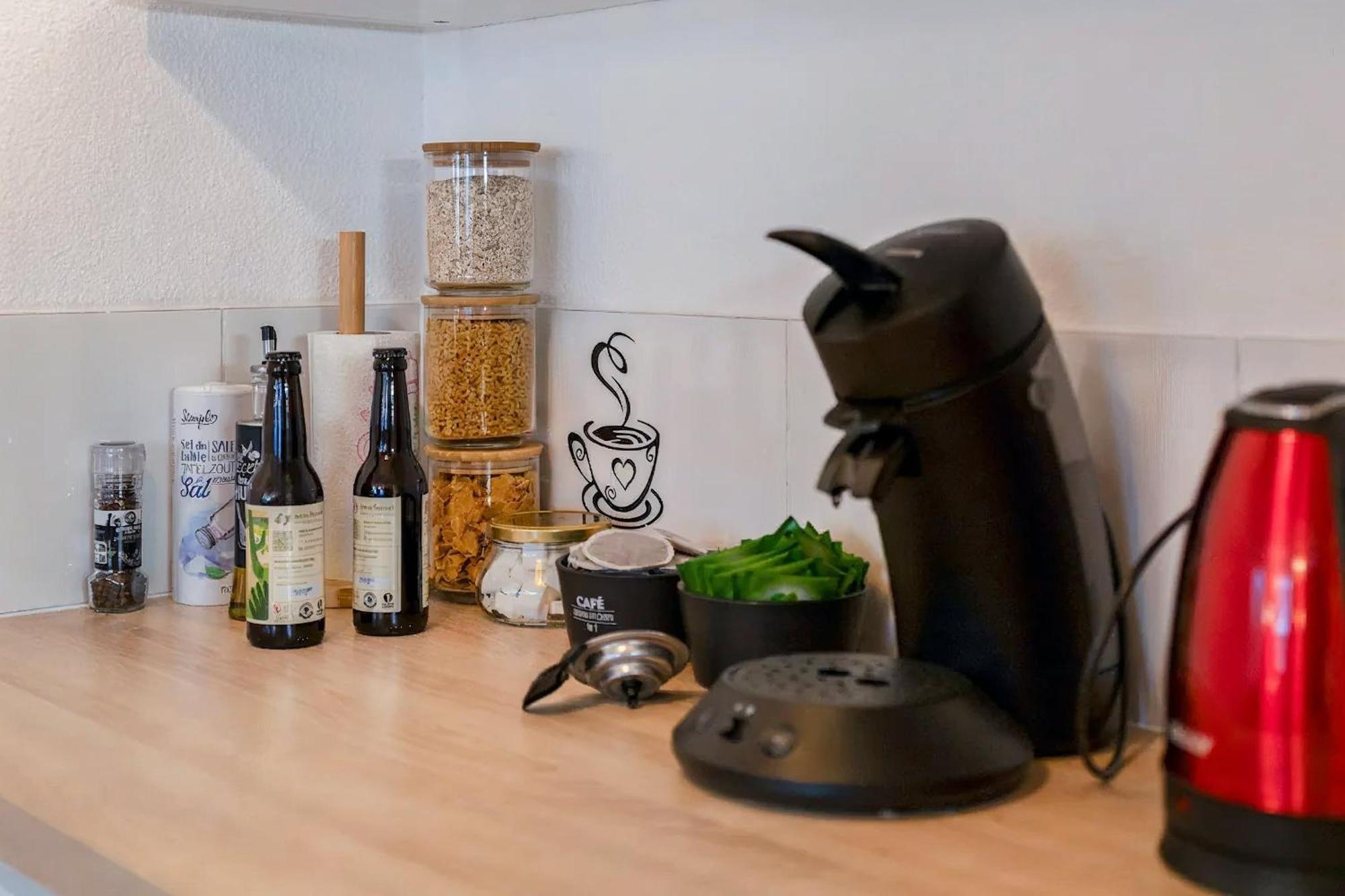 Superbe Appartement - Parking Gratuit - 4 Personnes Chambery Ngoại thất bức ảnh